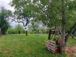 Eladó családi ház Balatonalmádi