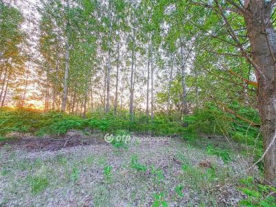 Eladó nyaraló Lakitelek