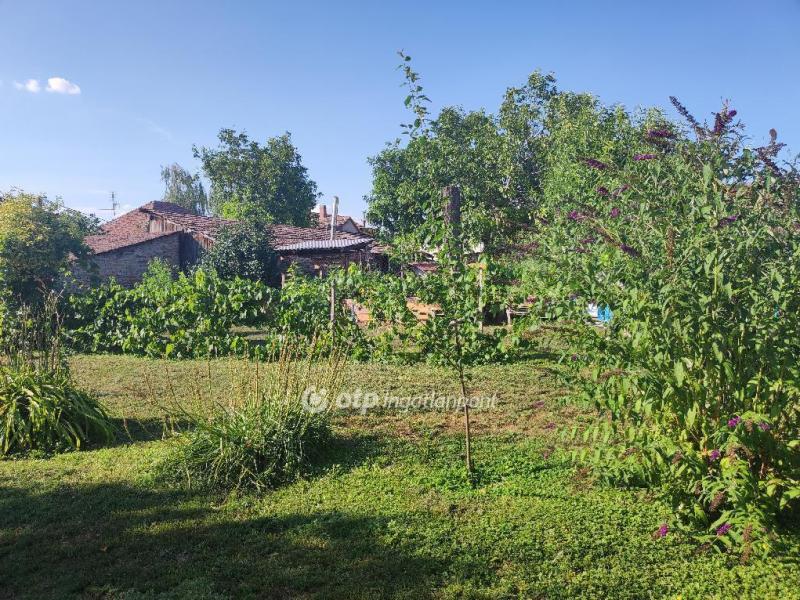 Eladó lakóövezeti telek Szeged