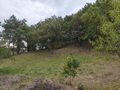 Eladó lakóövezeti telek Velence