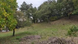 Eladó lakóövezeti telek Velence