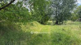 Eladó lakóövezeti telek Újfehértó