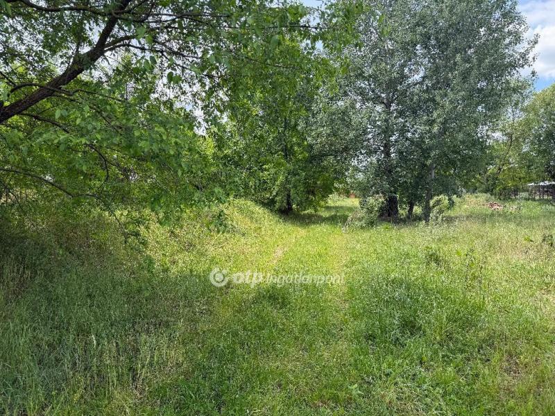 Eladó lakóövezeti telek Újfehértó