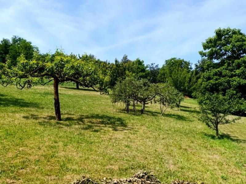 Eladó lakóövezeti telek Boncodfölde