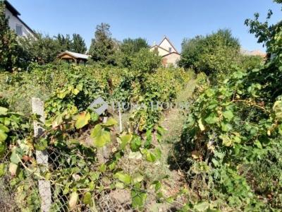 Eladó lakóövezeti telek Tata