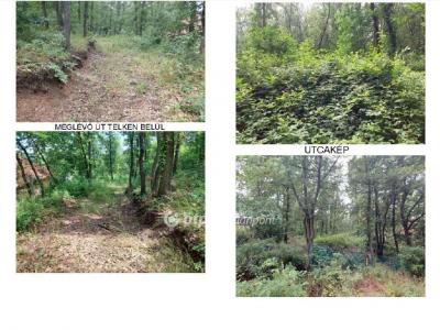 Eladó lakóövezeti telek Érd