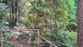 Eladó lakás Zalaegerszeg