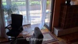 Eladó lakás Zalaegerszeg