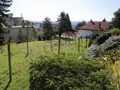 Eladó családi ház Pécs