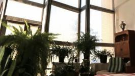 Eladó családi ház Pécs