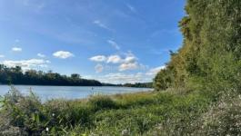 Eladó családi ház Leányfalu