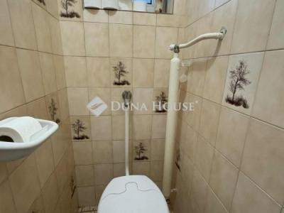 Eladó családi ház Dabas