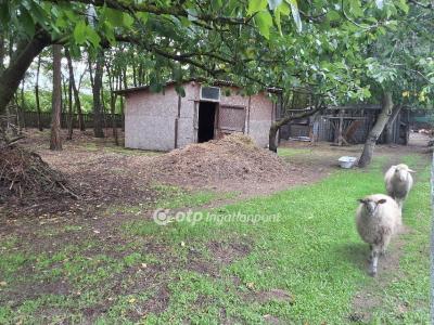 Eladó családi ház Albertirsa