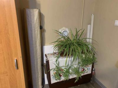 Eladó családi ház Cegléd