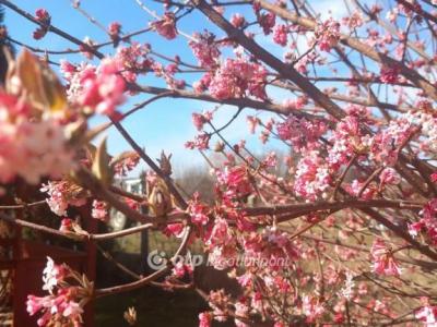 Eladó családi ház Érd