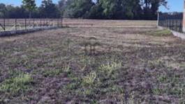 Eladó nyaraló Szigetcsép