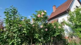 Eladó családi ház Gomba