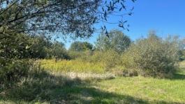 Eladó lakóövezeti telek Nyíregyháza