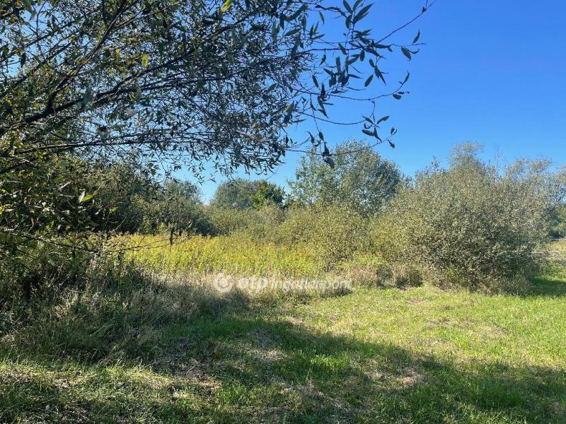 Eladó lakóövezeti telek Nyíregyháza