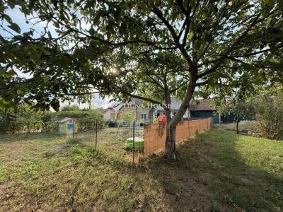 Eladó családi ház Ráckeve