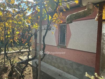 Eladó tanya Nyíregyháza