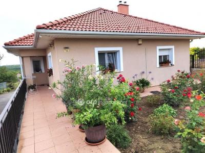 Eladó családi ház Martonvásár