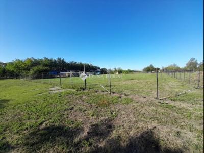 Eladó külterületi telek Békés