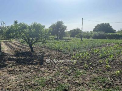 Eladó lakóövezeti telek Cegléd