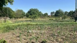 Eladó lakóövezeti telek Cegléd