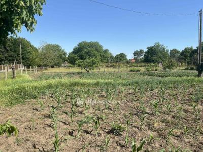 Eladó lakóövezeti telek Cegléd