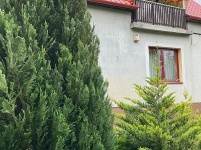 Eladó családi ház Nyíregyháza