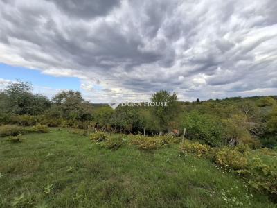 Eladó külterületi telek Lovasberény