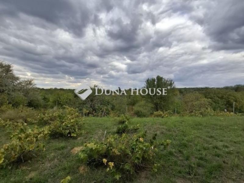 Eladó külterületi telek Lovasberény