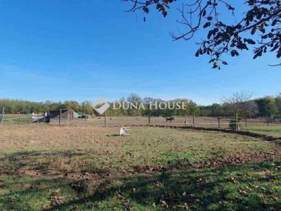 Eladó családi ház Hernád