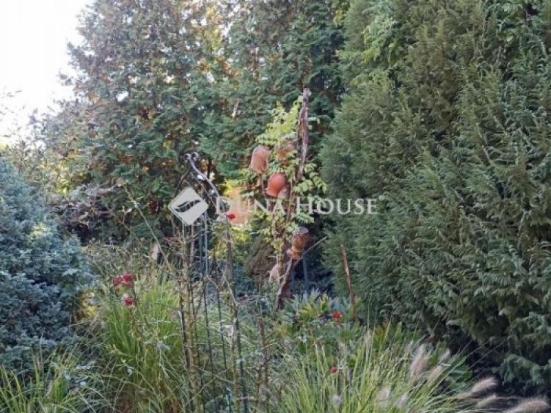 Eladó lakóövezeti telek Kosd