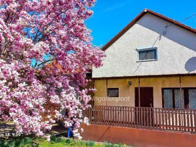 Eladó családi ház Cegléd