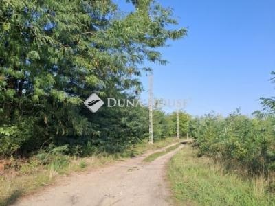 Eladó lakóövezeti telek Őrbottyán