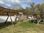 Eladó családi ház Délegyháza