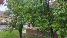 Eladó családi ház Abony