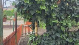 Eladó családi ház Abony