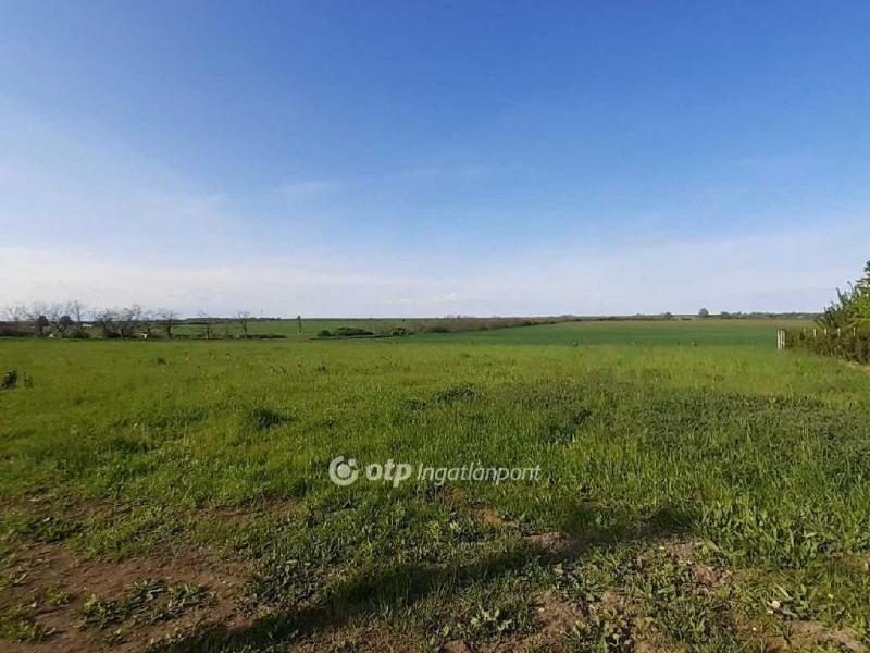 Eladó lakóövezeti telek Atkár