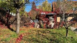 Eladó családi ház Törökbálint