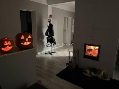 Eladó családi ház Halásztelek