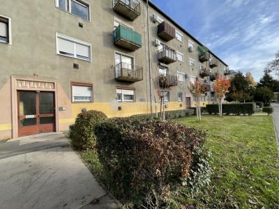 Eladó lakás Szigetszentmiklós