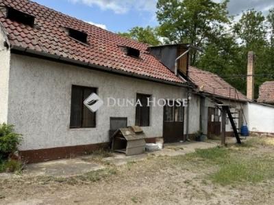 Eladó tanya Lajosmizse