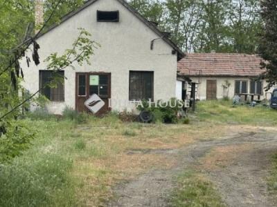 Eladó tanya Lajosmizse