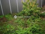 Eladó családi ház Tiszavasvári