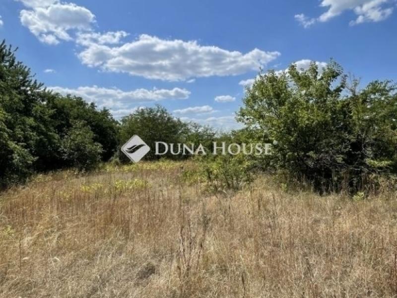 Eladó lakóövezeti telek Szada