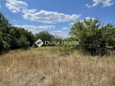 Eladó lakóövezeti telek Szada
