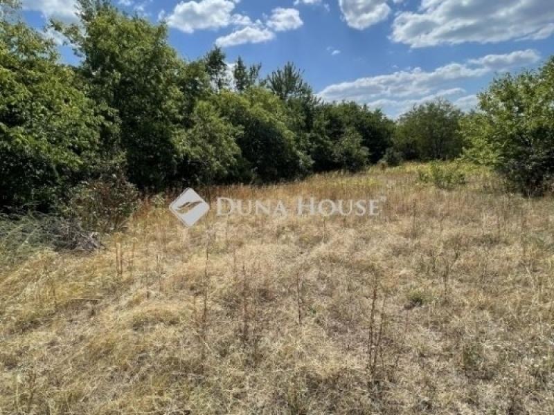 Eladó lakóövezeti telek Szada